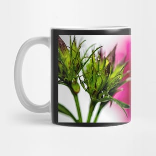 Spiky Green Plant on a Colorful Background Poster Mug